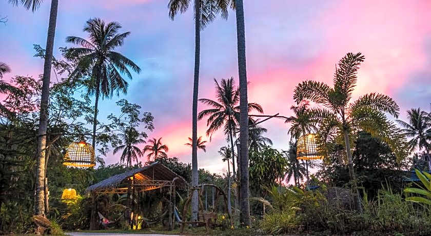 Wonderland Healing Center - All Inclusive