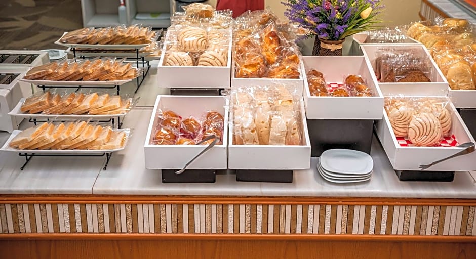 Holiday Inn La Piedad By IHG