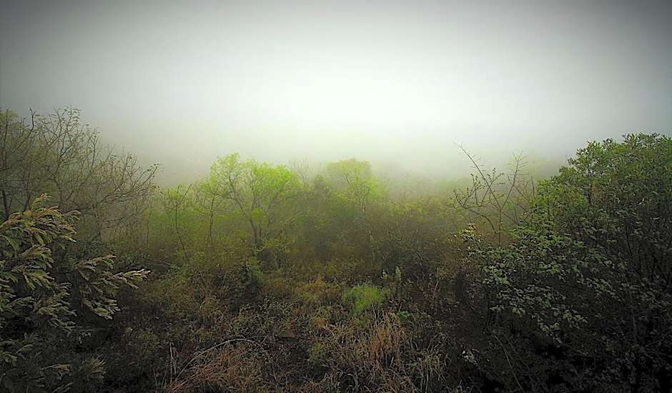 Graceland Eco Retreat