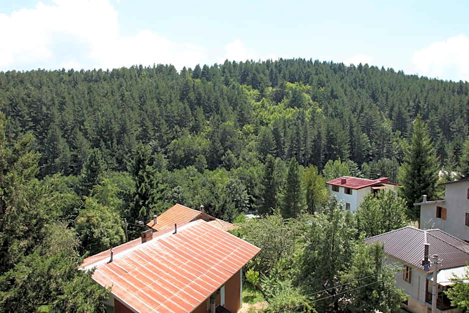 Hotel Tasso