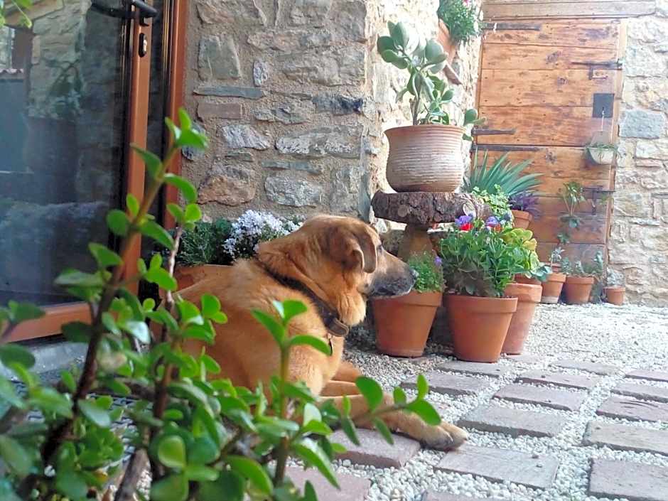 Hotel rural Font del Genil