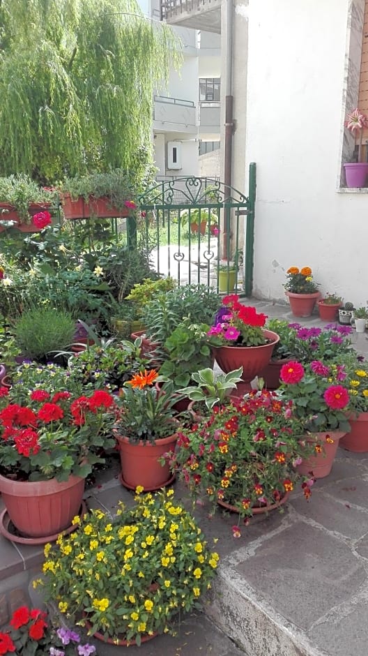 B&B A casa di Carla