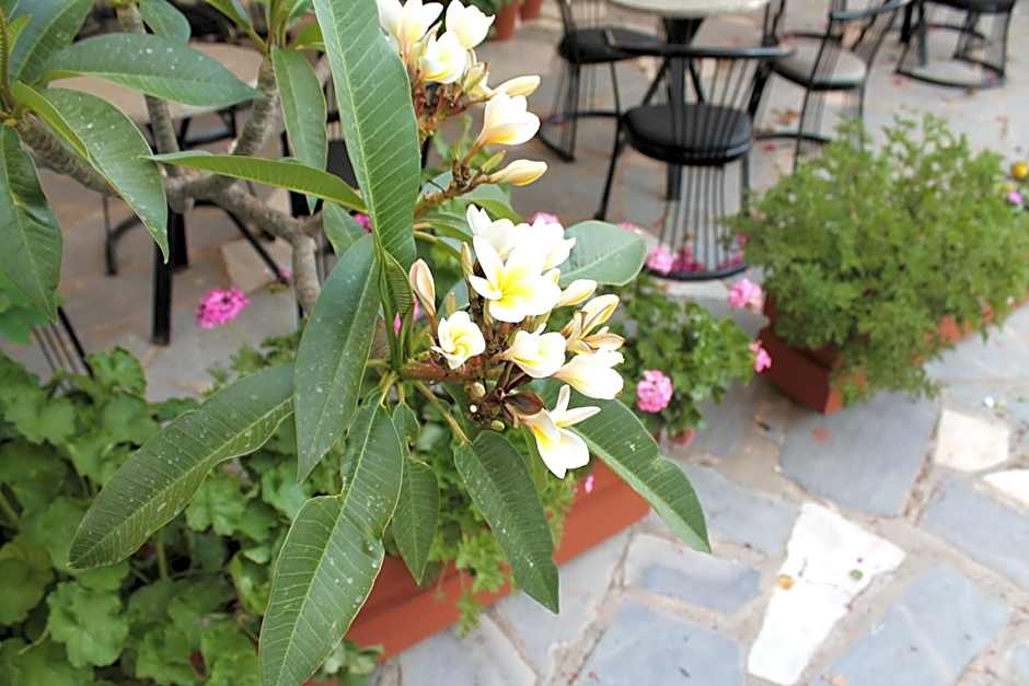 Esperides Hotel