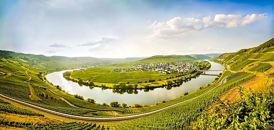 Weingut & Gästehaus Christoph Clüsserath