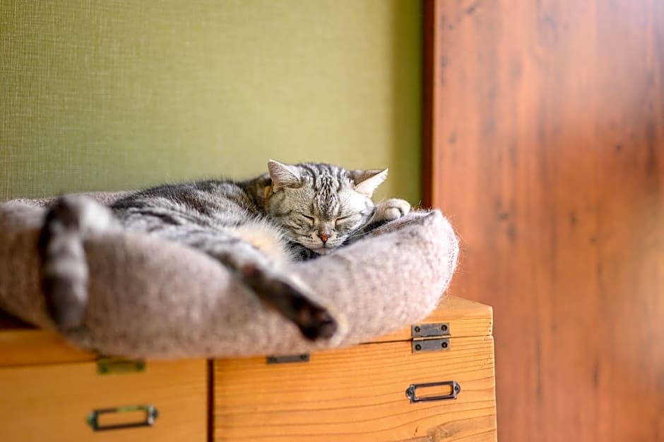 Yufuin Waraneko no Yado