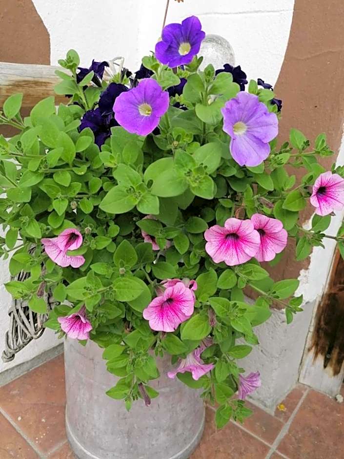 Alpengasthof Fernblick