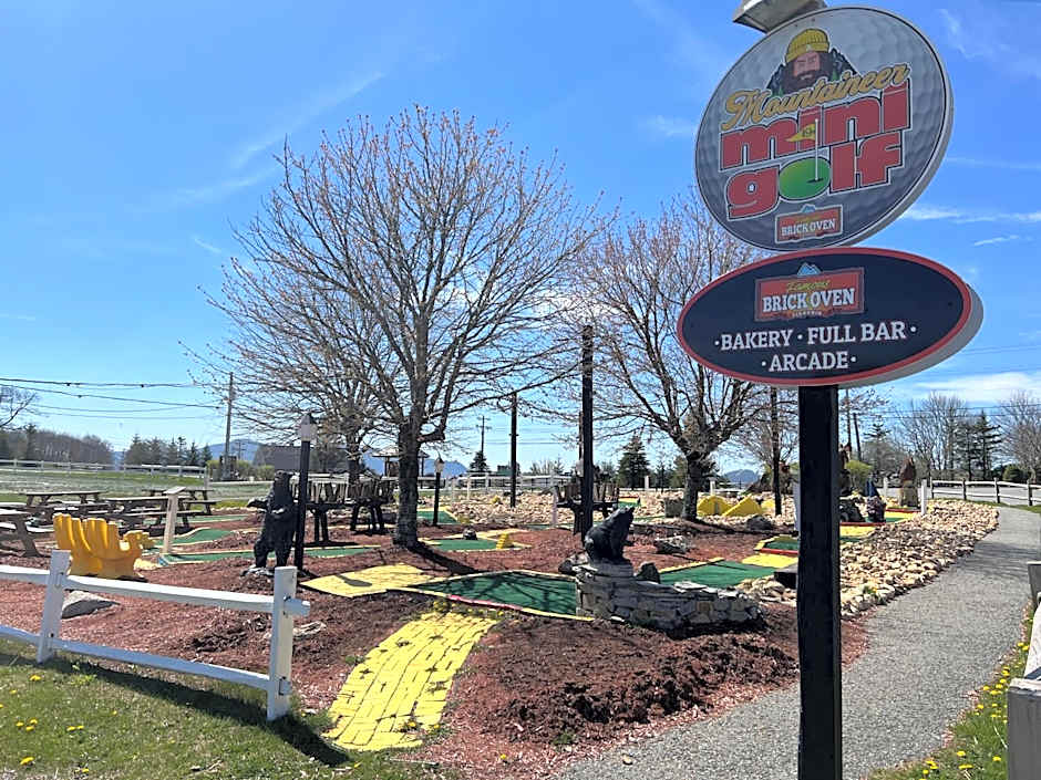 Beech Mountain SLOPES ARE OPEN! SKI SEASON, FREE sledding hill, Walk to Ski Shuttle