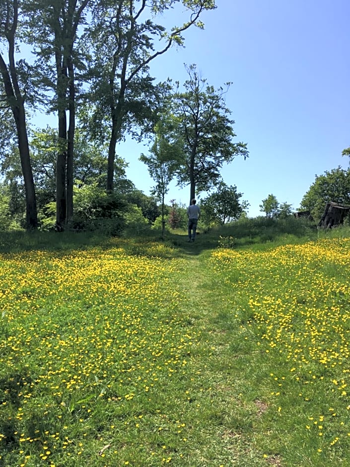 Wynberg House Bed & Breakfast Swansea