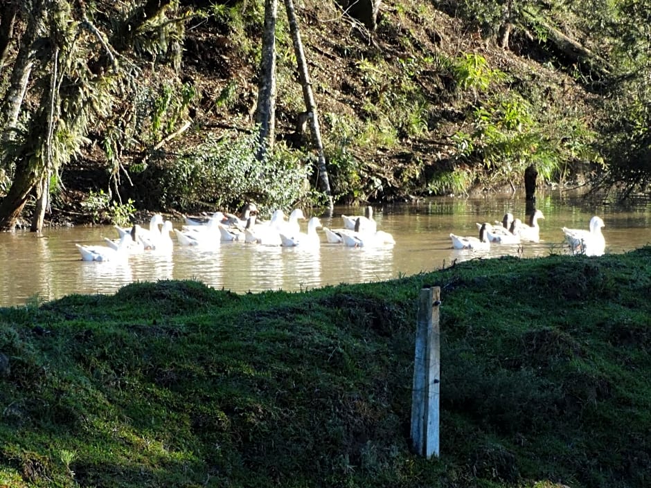 Pousada Recanto dos P¿neis Rio Rufino Urubici