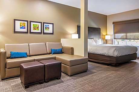 King Suite with Roll-In Shower - Accessible/Non-Smoking
