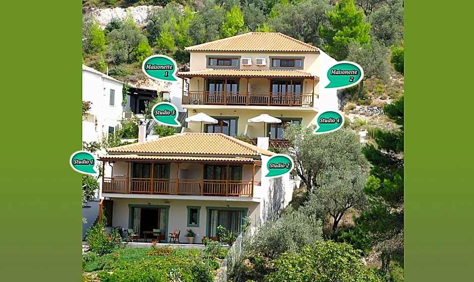 Althea Accommodation