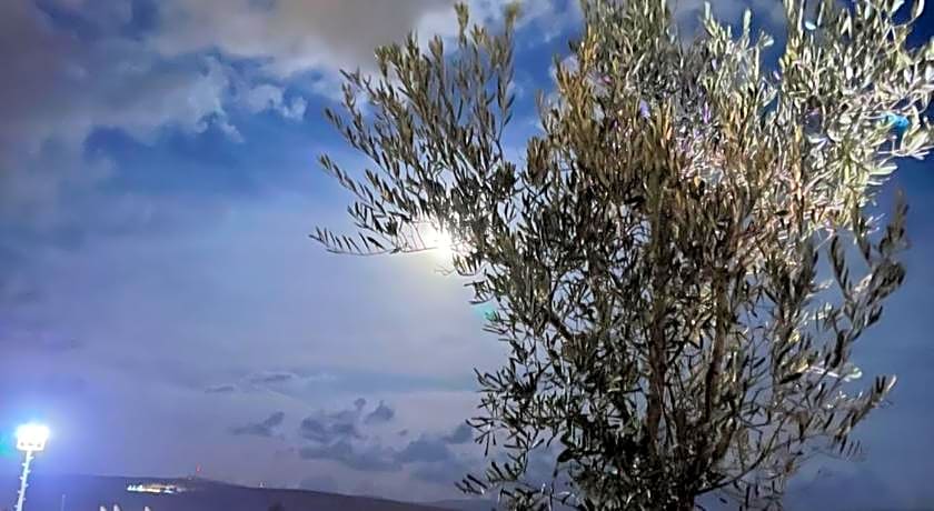 Woodstock Alacati