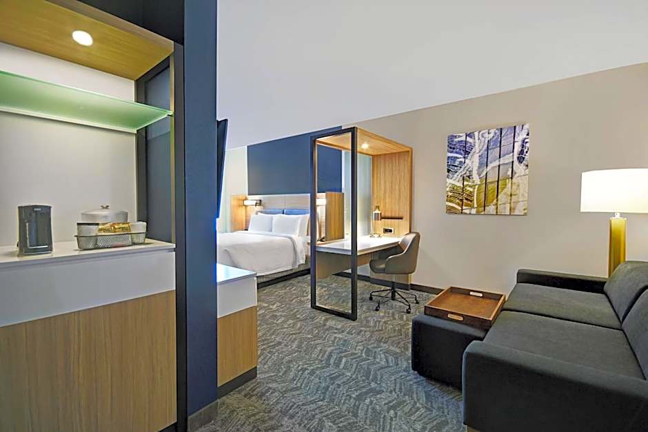 Springhill Suites by Marriott St. Paul Arden Hills