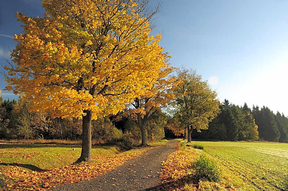 Waldhotel Kreuztanne