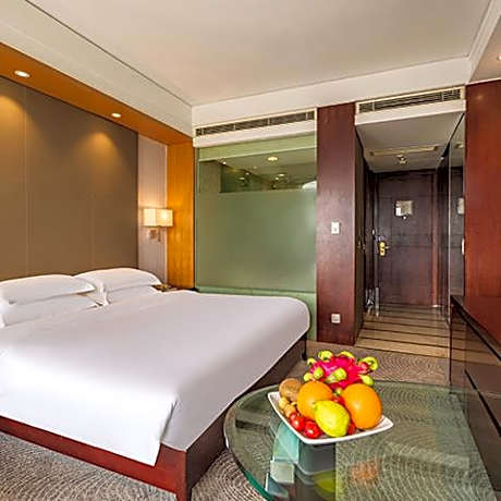 New Century - Deluxe 1 Bed Room, City View