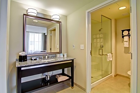 1 King Microwv/Fridge/Wet Bar Studio Suite Ns