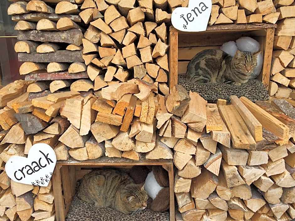 Alpine Touring Hotel-petfriendly