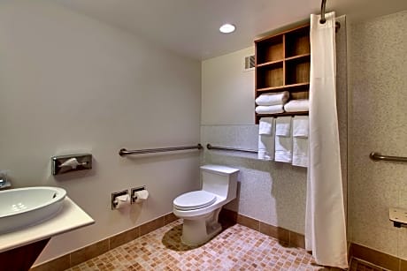 Twin Room with Shower- Hearing Accessible/Non-Smoking