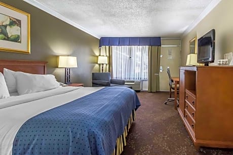 King Room