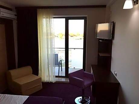 Deluxe Twin Room with Danube View