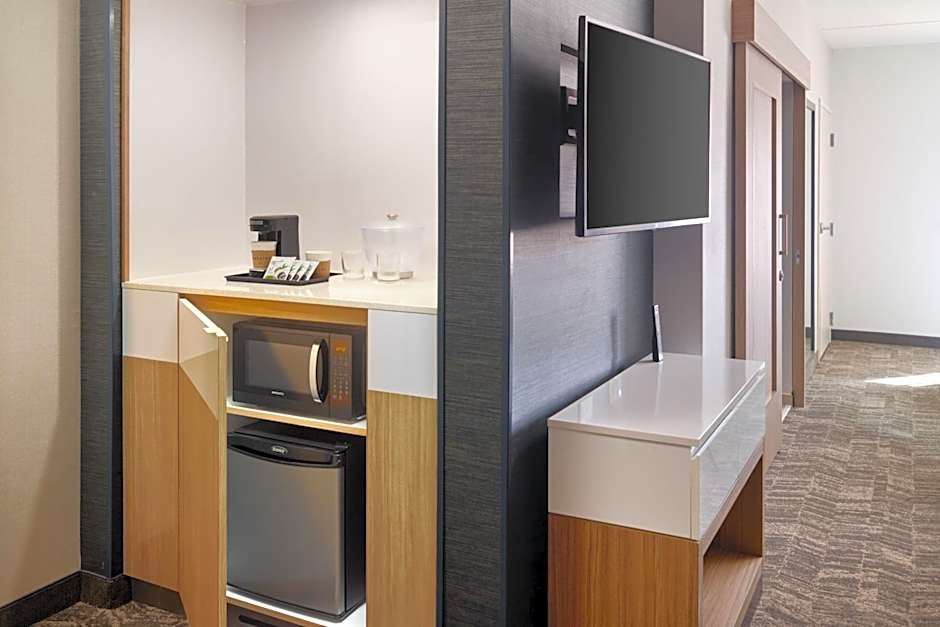 SpringHill Suites by Marriott Arlington TN