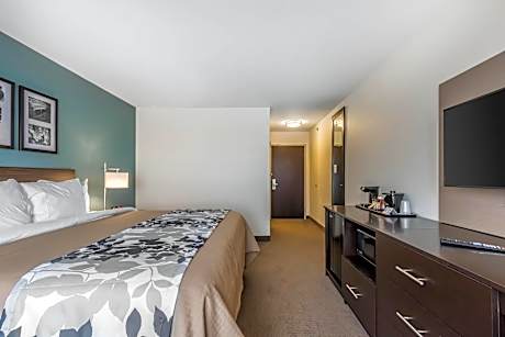 1 King Bed, Suite, Nonsmoking