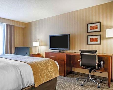 Queen Room - Disability Access/Non-Smoking