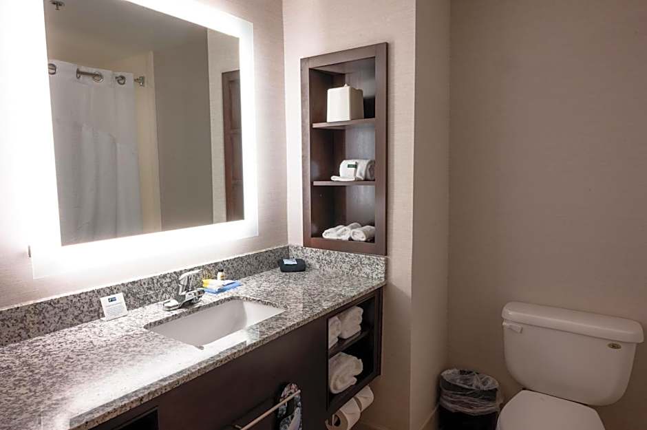 Holiday Inn Express & Suites - Tuscaloosa-University By IHG