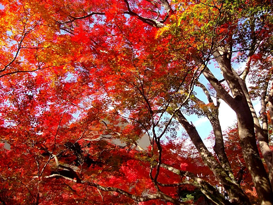 M's Inn Higashiyama