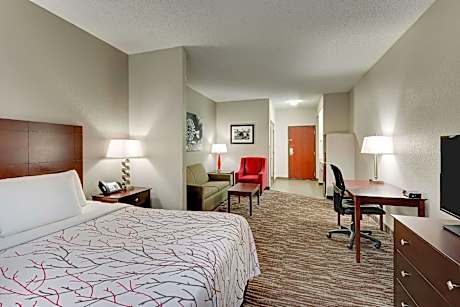 Suite-1 King Bed. Non-Smoking. Sofabed. Jetted Tub. Work Desk. Wi-Fi.
