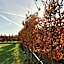 Country House Campofiore