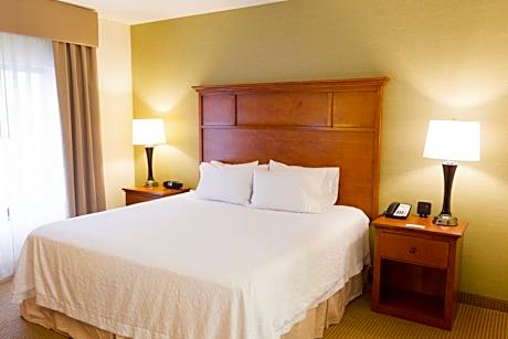 King Room with King Bed - Non-Smoking