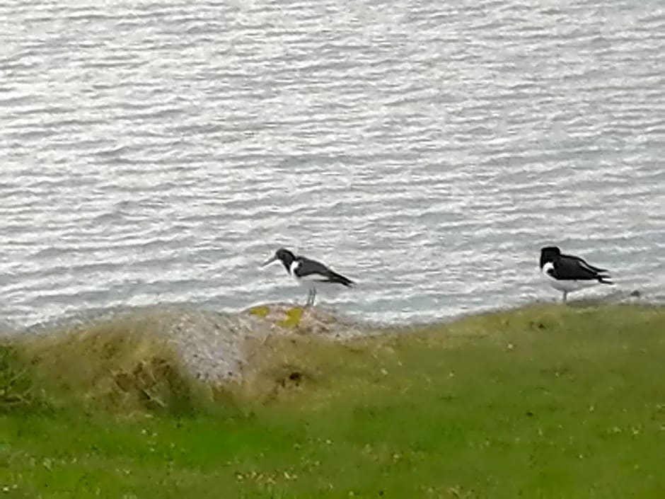 The Fisherman's Snug self catering North Uist