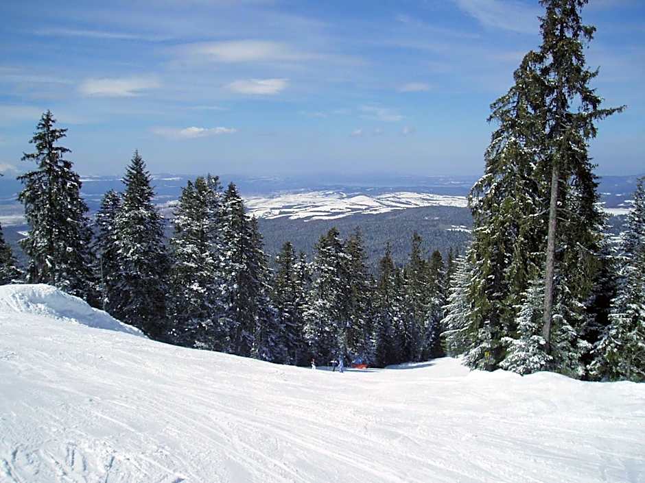 Apartments Flora-Daisy