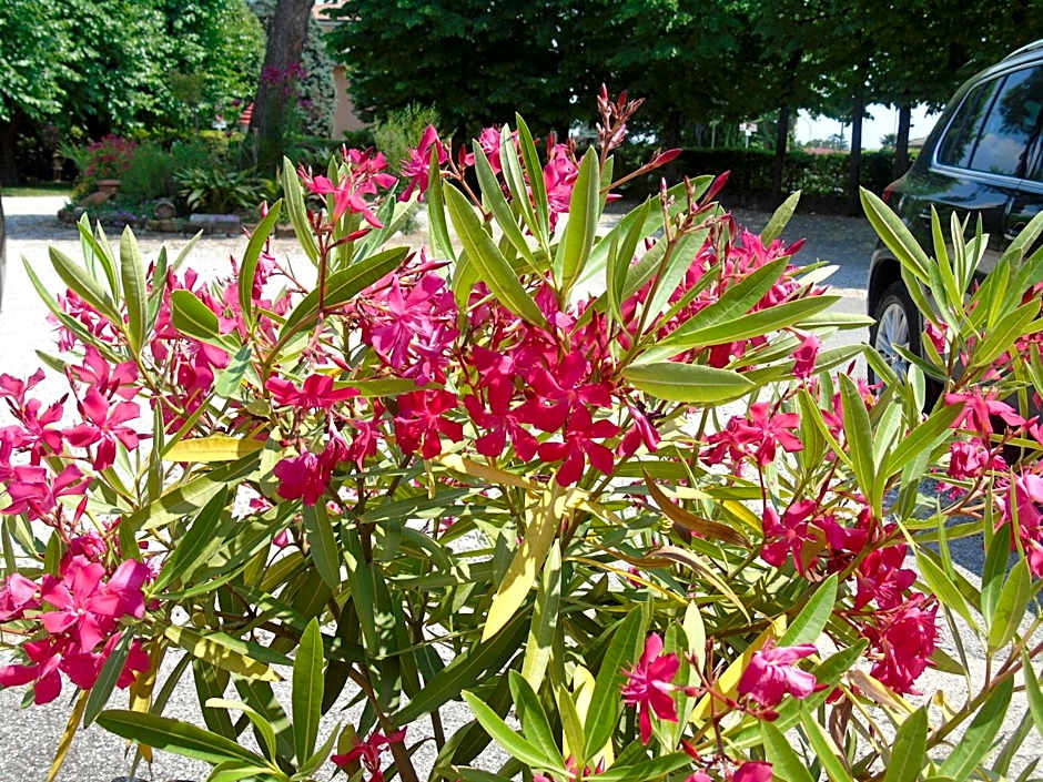 Albergo Grifone 1891