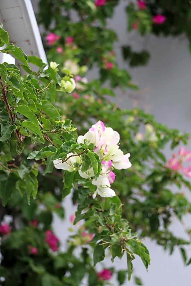 SPIROS & HIROKO Hotel - ADULTS ONLY