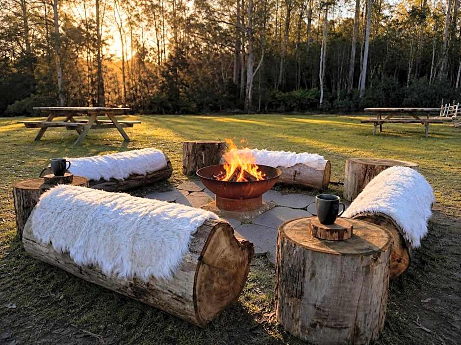 Cradle forest inn