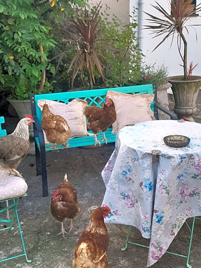 Saint Martin's Bed and Breakfast