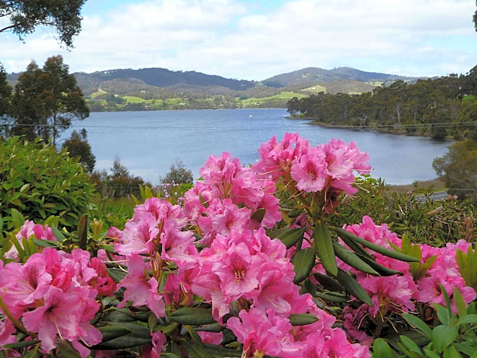 Donalea Bed & Breakfast