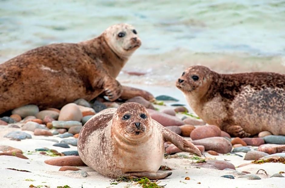 Fara 2 room, 1 bedroom - B&B private suite