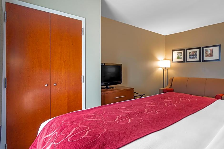 Comfort Suites Knoxville North