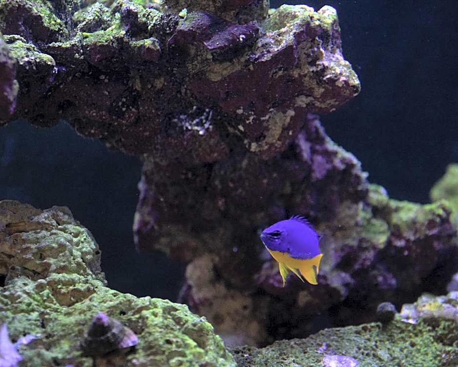 Travelodge by Wyndham Roberval