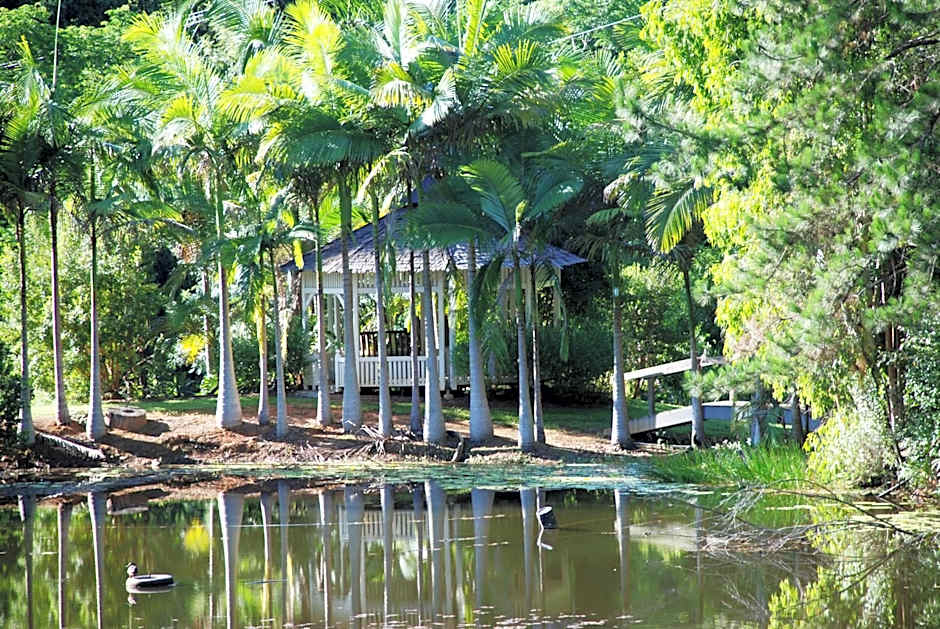 Wollumbin Palms Rainforest Retreat