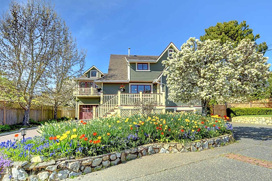 Character Stay across Swan Lake Nature Sanctuary