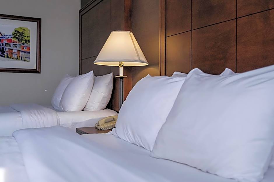 Comfort Inn - Gander