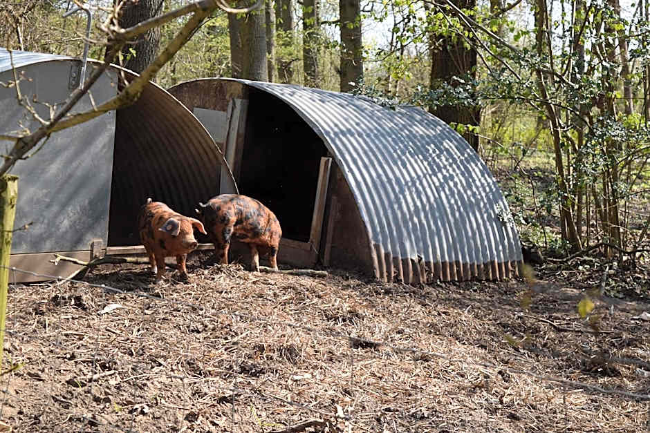 Oakside Lodge Guest House