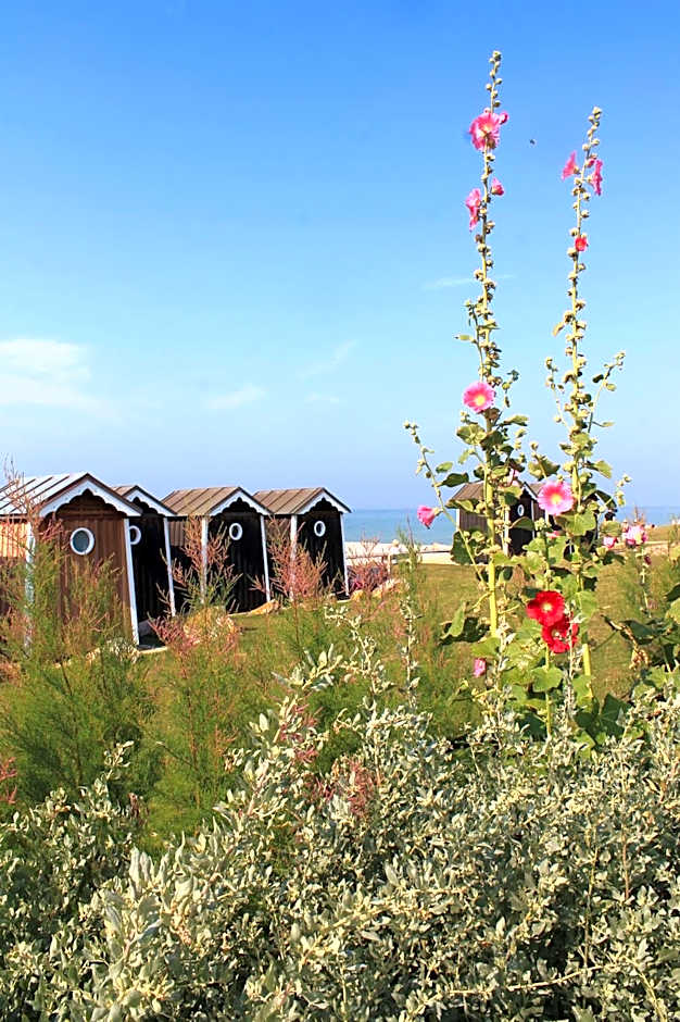 Le clos des mûriers