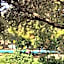 Bahar Bahce Datca