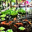Artist's Place Trat