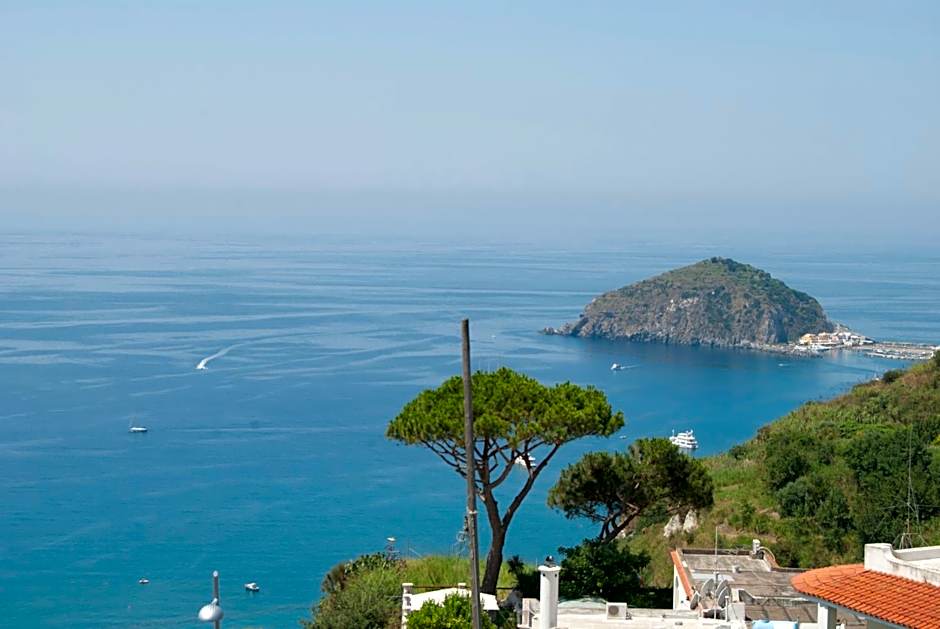 Albergo Villa Giusto